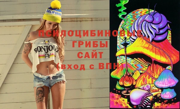 шишки Лагань
