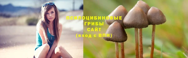 ECSTASY Щигры