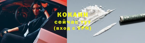 шишки Лагань