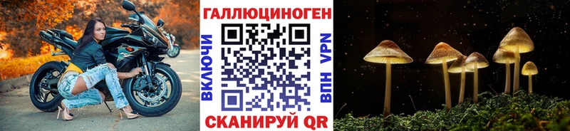 блэк спрут ТОР  Ильский  Псилоцибиновые грибы Magic Shrooms 